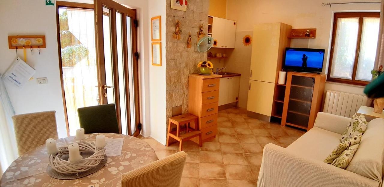 Apartments Demori Galižana エクステリア 写真